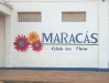 maracas1.jpg