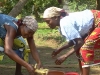 quelimane-1.jpg