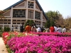 morogoro-10.jpg